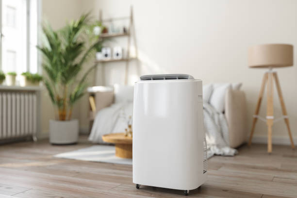 Best Ductless Mini-Split Systems in Hilton Head Island, SC
